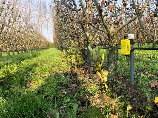 FieldGuard Station met 2 SM100 bodemvochtsensoren