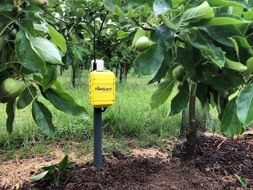 FieldGuard Stations voor fruittelers